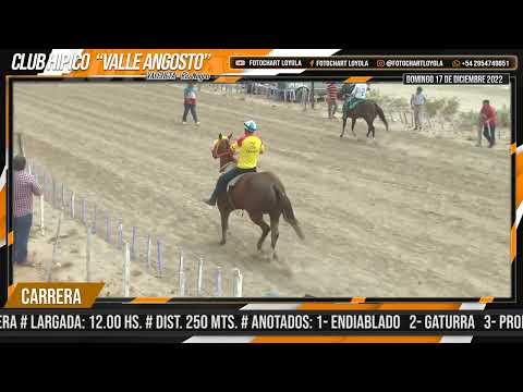 ENANA   Valcheta   R N  17 12 22