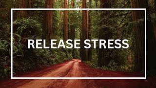 Calm Music, Meditation Music, Sleeping Music, Music, Study Music, Insomnia