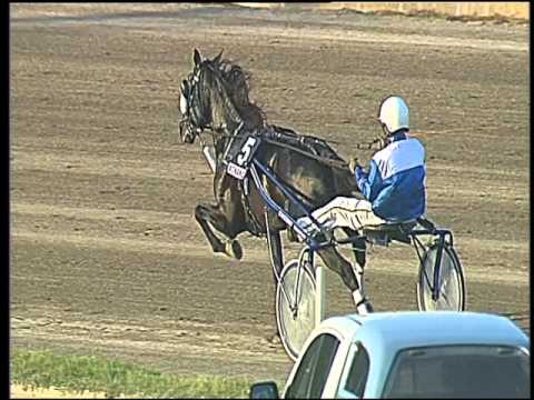 Trotto 06/05/2016 - 9° Corsa