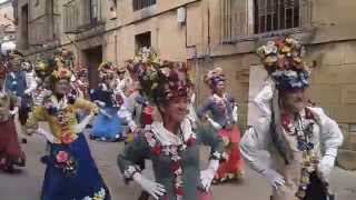 preview picture of video 'Comparsa de Jardineros del Carnaval Tradicional de San Sebastian en Elciego (Rioja Alavesa)'