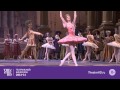 Большой балет в кино: Спящая красавица 
