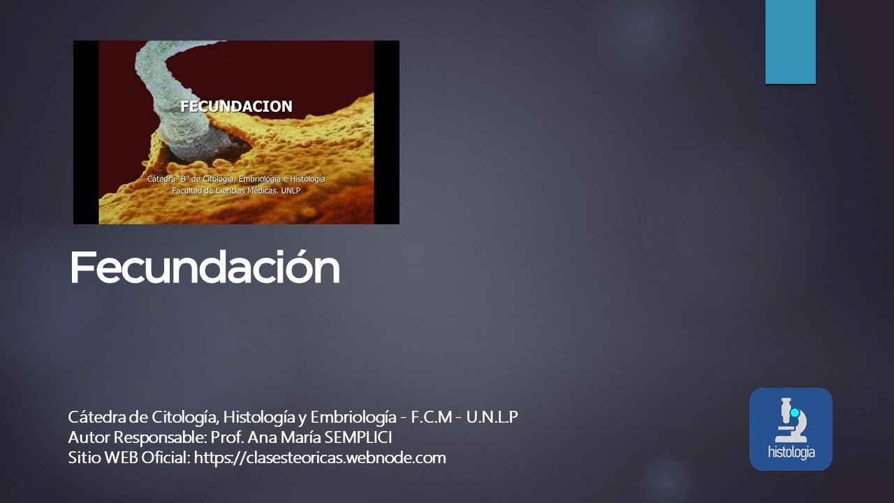 FECUNDACION