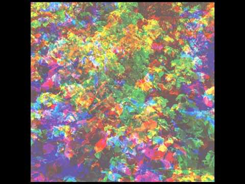 Videoclip de Can't Do Without You (Extended Mix) — Caribou