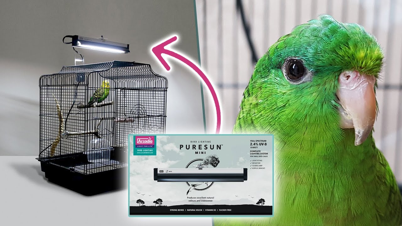 Arcadia PureSun Mini Bird Light Kit Med F ste 8 W CyberZoo arcadia-puresun-mini-bird-light-kit-med-f-ste-8-w-cyberzoo