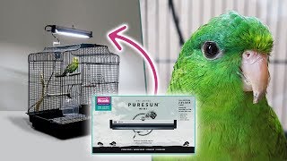 Arcadia PureSun Midi Bird Light Kit Med F ste 14 W CyberZoo arcadia-puresun-midi-bird-light-kit-med-f-ste-14-w-cyberzoo