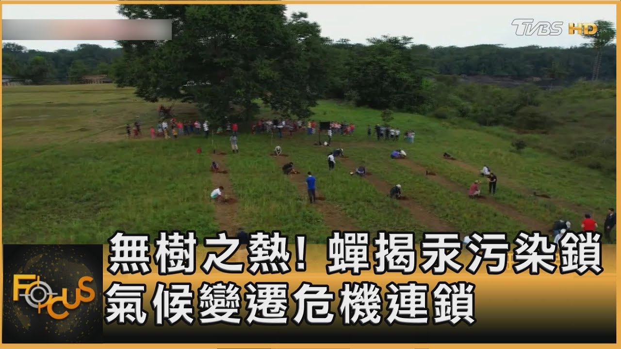 無樹之熱!蟬揭汞污染 氣候變遷危機連鎖