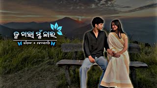Download lagu Tu Khara Mu Chhae 🌿 Odia lofi songs in slow and reverb 🌿 #song #lofimusic mp3