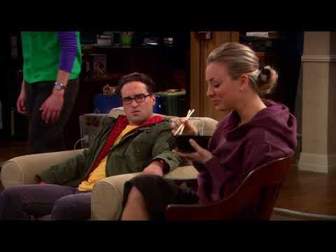 The Big Bang Theory S02E19
