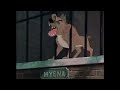 Hyena Laugh From Lady The Tramp