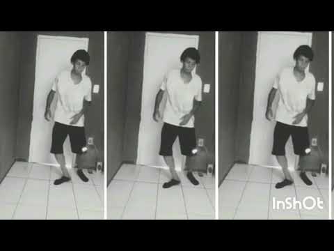 Nova revelação das dancinhas (Panda Dancy)