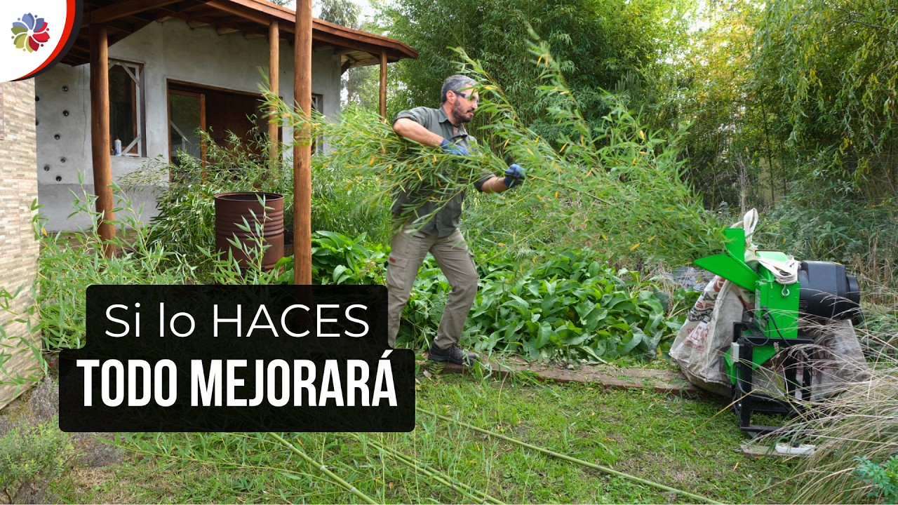 Si lo haces, todo mejora: diseño y acción en minigranja.ar 👨‍🔧 | Limpieza del gallinero