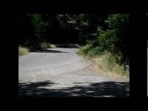 Filmato rally alta val di cecina 2012