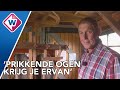 Deze molen zie je bijna nergens meer