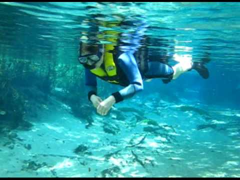 buceo con snorkel en Bonito