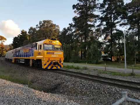 7MA8 'The Overland' NR1 6w Mitcham, SA 17:25 24/8/19