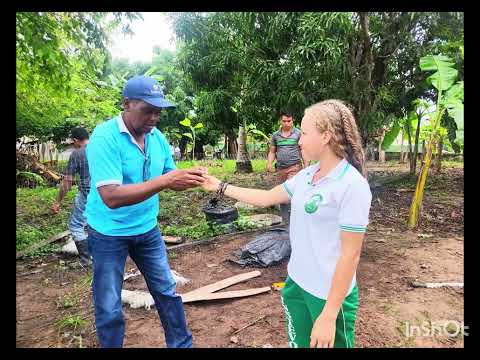 AULA VIVA IE LOS VOLCANES TIERRALTA CORDOBA