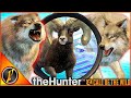 Sie Haben Mich Angegriffen Als Ich Einen Diamanten Im Visier Hatte TheHunter Call Of The Wild