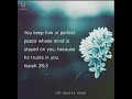 Daily bible promise