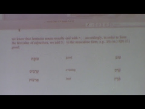 Biblical Hebrew 102  - Lecture 8