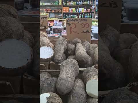 Muslim  Sunnah Aljannah Firdaws Rokiatou Keita in Brooklyn New York USA 🇺🇸 🌎.