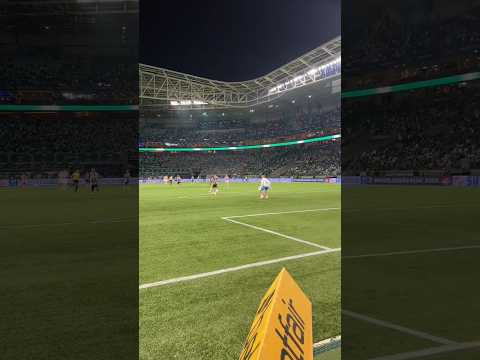 Paulinho | Palmeiras 0 x 2 Atlético Mineiro #brasileirão #palmeiras #atleticomg