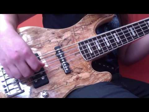 Luke Appleton - Iced Earth - Raven Wing - Bass Video (Official)