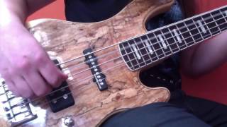 ICED EARTH - Raven Wing (Bass Guitar Play Through) | Luke Appleton
