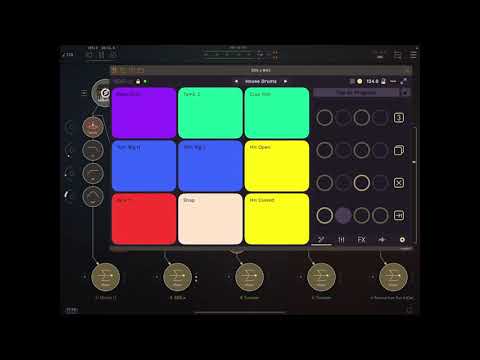 Episode 5: House Groove Jam with Sunrizer, Moog Model D, and SDS-X