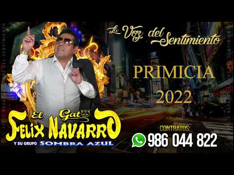 Sin Ti Sufrire - El Gato Felix Navarro