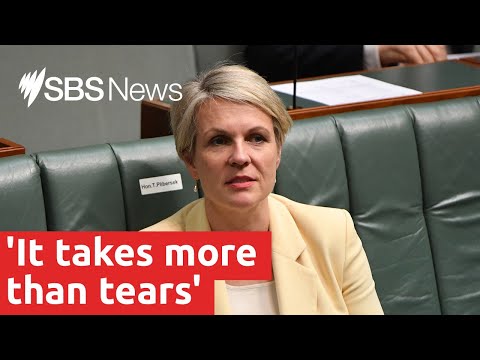 Tanya Plibersek attacks PM for response to sex scandals | SBS News