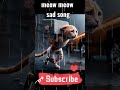 Cat Videos Meowing Video Meow Sad Song Sad Cat Story Meow Meow Song Poorcat Shorts