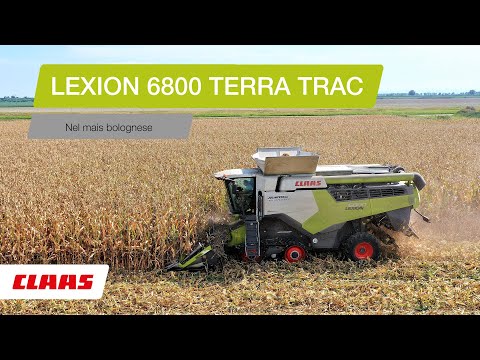 CLAAS In Campo 2020- LEXION 6800 TT nel mais bolognese
