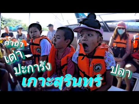 คลิกเพื่อดูคลิปวิดีโอ