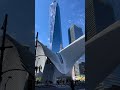 Newyork Nagaram Song Whatsapp Status Shorts Newyork Usa Newyorknagaramsong