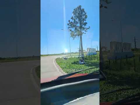 Visitando Laguna Blanca #paseo#paisaje