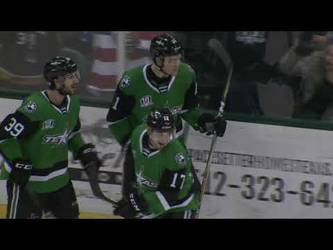 Gulls vs. Stars | Jan. 26, 2019