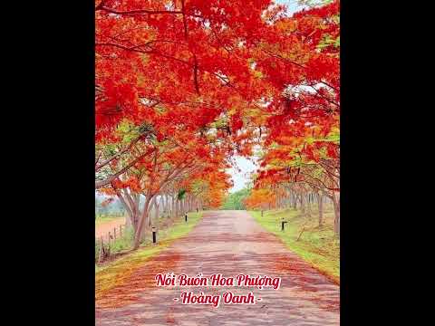 Thể hiện bởi Hoàng Oanh