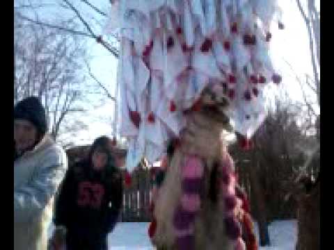 Brezaia Tausanca Mica Ulmeni 2012