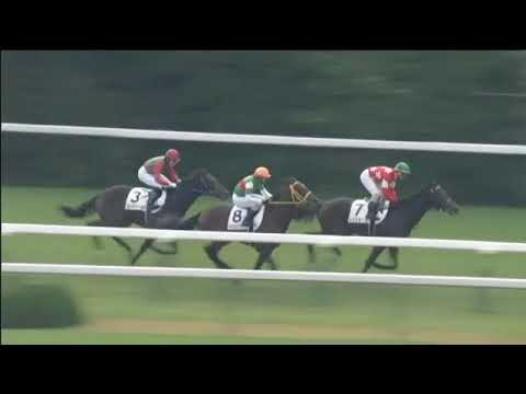 2017.11.12 2yo Newcomer (JPN) - Danon Fortune