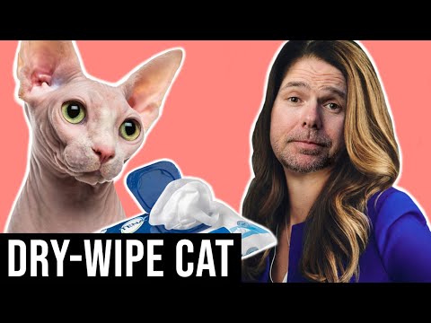 Ricky Gervais Radio Show S2E21 | Dry-Wipe Cat