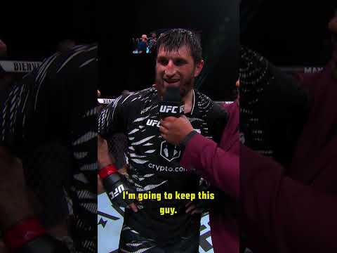 Ankalaev calling out Pereira 🔥 #ufc313