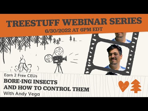 Bore-ing Insects and How to Control Them with Andy Vega - LIVE