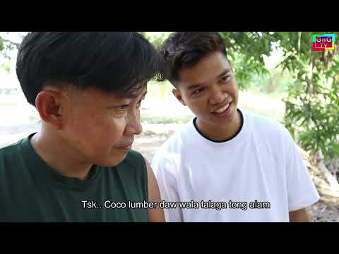 Mapan Makidate ni Dimsy - Donat Masong