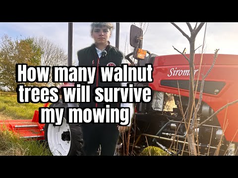 Hydraulic side shift flail mower