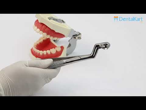 Waldent Tooth Extraction Forceps Lower Molars & Wisdoms Left No.22-1/2L (1/129)