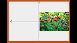 How to right align an image using different CSS techniques