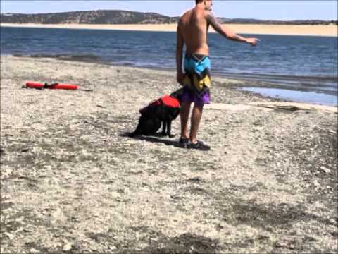 Salvamento y rescate acuático. Entrenamientos.