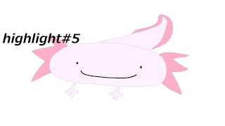 highlight#5