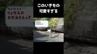 女将はお金持ち　#shorts #ps2 #playstation2 #トロと休日 #レトロゲーム #retrogaming #かわいい