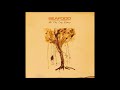 Seafood - Kicking The Walls (acoustic) (Beggars Banquet, Kingston 2004)